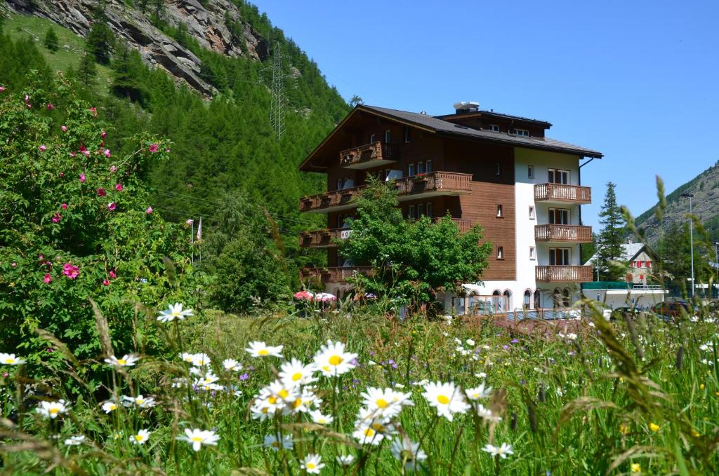 Ski-In/Ski-Out Hotel Sport room 1